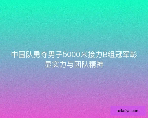 中国队勇夺男子5000米接力B组冠军彰显实力与团队精神