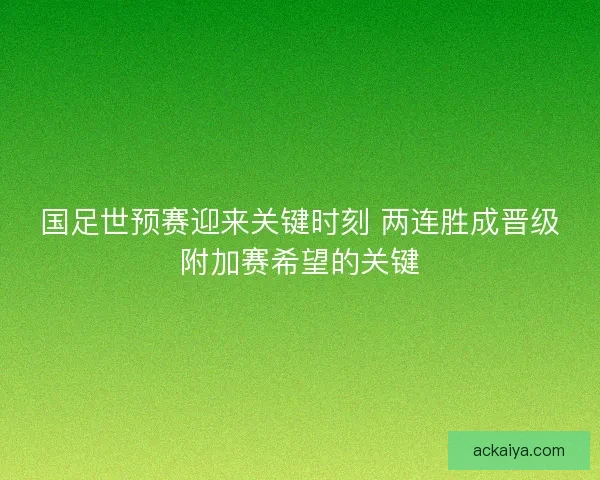 国足世预赛迎来关键时刻 两连胜成晋级附加赛希望的关键